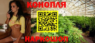 сатива Краснознаменск