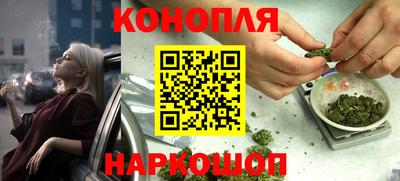 сатива Краснознаменск
