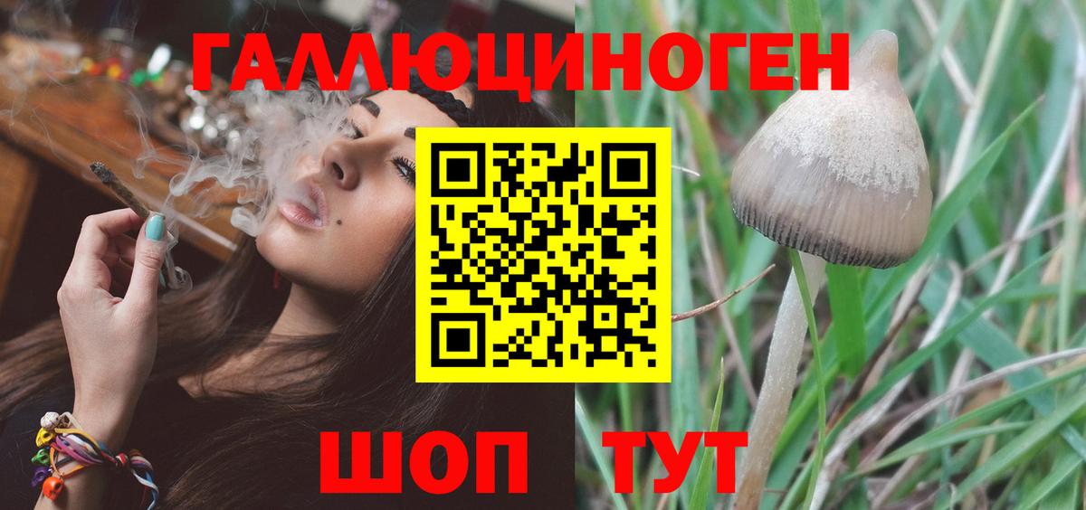 Касимов  Псилоцибиновые грибы прущие грибы  Вход с VPN 